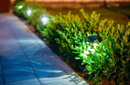 Outdoor Electrical & Ambient Lighting